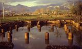 106-Priverno (romana),5 gennaio 1986